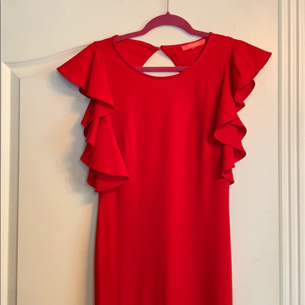 Red Dress - Picture 2 of 4